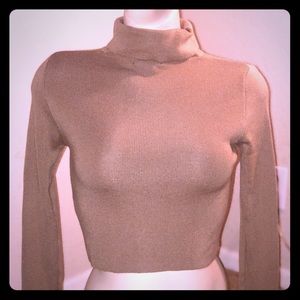 Long sleeve turtle crop